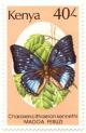 Colnect-802-154-Blue-spotted-Charaxes-Charaxes-cithaeron.jpg