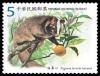 Colnect-1854-196-Masked-Palm-Civet-Paguma-larvata-taivana.jpg