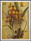 Colnect-4146-044-Oncidium-macranthum.jpg