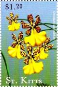 Colnect-3483-375-Oncidium-splendidum.jpg