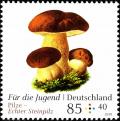 Colnect-5483-967-Porcini-Boletus-edulis.jpg