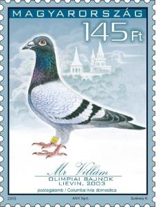 Colnect-2508-177--quot-Mr-Villam-quot----Racing-Pigeon-Columba-livia-forma-domestica.jpg