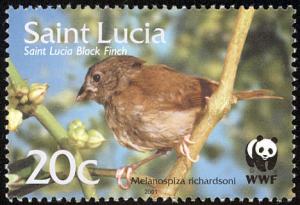 Colnect-1766-930-St-Lucia-Black-Finch-nbsp-.jpg