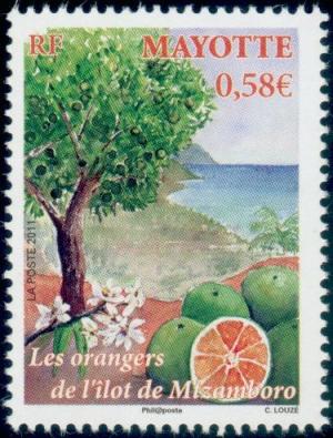 Colnect-2079-973-Citrus-sinensis.jpg