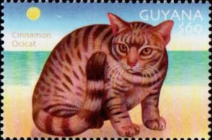 Colnect-4863-459-Cinnamon-Ocicat.jpg