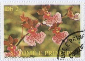 Colnect-938-201-Oncidium-nubigenum.jpg