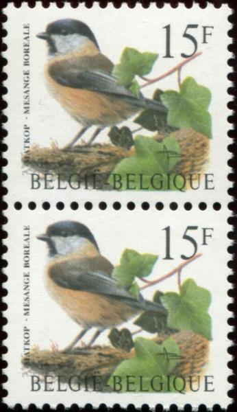 Colnect-5786-289-Willow-Tit-Poecile-montanus-paire-verticale.jpg