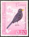 Colnect-2287-715-Glossy-black-Thrush-Turdus-serranus.jpg