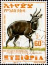 Colnect-2806-876-Menelik--s-Bushbuck-Tragelaphus-scriptus-meneliki.jpg