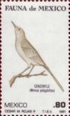 Colnect-2912-957-Northern-Mockingbird-Mimus-polyglottos.jpg