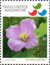 Colnect-3328-970-Hollyhock-Glaucidium-palmatum.jpg