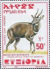 Colnect-3337-947-Menelik--s-Bushbuck-Tragelaphus-scriptus-meneliki.jpg