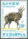 Colnect-3551-143-Menelik--s-Bushbuck-Tragelaphus-scriptus-meneliki.jpg