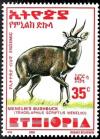 Colnect-3554-465-Menelik--s-Bushbuck-Tragelaphus-scriptus-meneliki.jpg