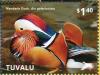 Colnect-4021-360-Mandarin-Duck%C2%A0%C2%A0%C2%A0%C2%A0Aix-galericulata.jpg