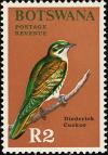 Colnect-597-718-Diderik-Cuckoo-Chrysococcyx-caprius.jpg