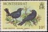 Colnect-834-000-Carib-Grackle-Quiscalus-lugubris.jpg