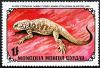 Colnect-870-717-Mongolia-Rock-Agama-Agama-stoliczkana.jpg