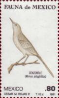 Colnect-2912-957-Northern-Mockingbird-Mimus-polyglottos.jpg