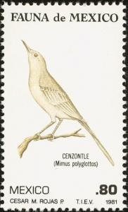 Colnect-3613-542-Northern-Mockingbird-Mimus-polyglottos.jpg