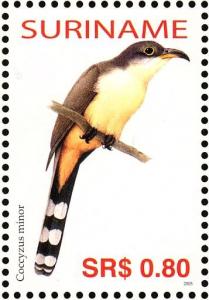 Colnect-3837-071-Mangrove-Cuckoo%C2%A0%C2%A0%C2%A0%C2%A0Coccyzus-minor.jpg