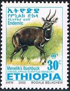 Colnect-2220-857-Menelik--s-Bushbuck-Tragelaphus-scriptus-meneliki.jpg