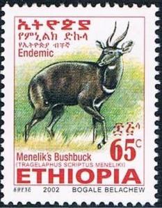 Colnect-2220-860-Menelik--s-Bushbuck-Tragelaphus-scriptus-meneliki.jpg