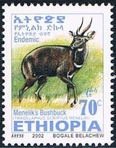 Colnect-2220-861-Menelik--s-Bushbuck-Tragelaphus-scriptus-meneliki.jpg