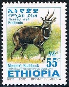 Colnect-2220-856-Menelik--s-Bushbuck-Tragelaphus-scriptus-meneliki.jpg