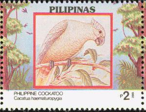 Colnect-1629-250-Red-vented-Cockatoo-Cacatua-haematuropygia.jpg