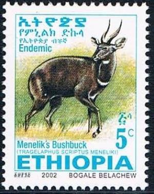 Colnect-2220-858-Menelik--s-Bushbuck-Tragelaphus-scriptus-meneliki.jpg