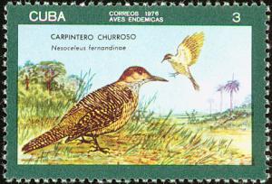 Colnect-2307-515-Cuban-Flicker-Colaptes-fernandinae.jpg