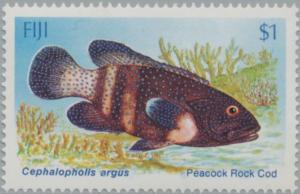 Colnect-2651-322-Peacock-Rock-Cod-Cephalopholis-argus.jpg