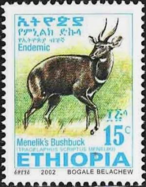 Colnect-2776-262-Menelik--s-Bushbuck-Tragelaphus-scriptus-meneliki.jpg