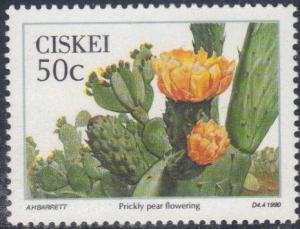 Colnect-2988-825-Prickly-Pear-Flowering.jpg