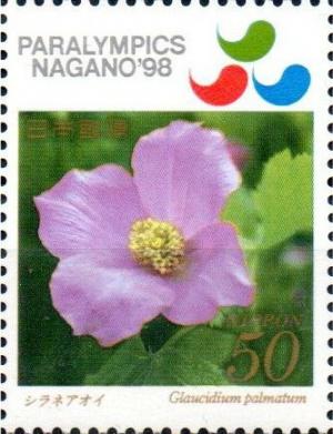 Colnect-3328-970-Hollyhock-Glaucidium-palmatum.jpg