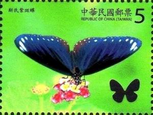 Colnect-3490-090-Double-branded-Black-Crow-Euploea-sylvester-swinhoei.jpg