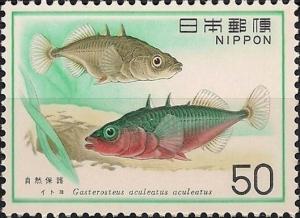 Colnect-4560-996-Three-spined-Stickleback-Gasterosteus-aculeatus.jpg