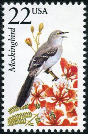 Colnect-5091-126-Northern-Mockingbird-Mimus-polyglottos.jpg