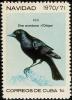 Colnect-3837-345-Cuban-Blackbird-Dives-atroviolacea.jpg