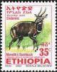 Colnect-2776-320-Menelik--s-Bushbuck-Tragelaphus-scriptus-meneliki.jpg