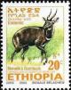 Colnect-2776-435-Menelik--s-Bushbuck-Tragelaphus-scriptus-meneliki.jpg