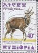 Colnect-3337-957-Menelik--s-Bushbuck-Tragelaphus-scriptus-meneliki.jpg