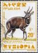 Colnect-3439-383-Menelik--s-Bushbuck-Tragelaphus-scriptus-meneliki.jpg