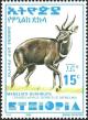 Colnect-3551-145-Menelik--s-Bushbuck-Tragelaphus-scriptus-meneliki.jpg