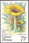 Colnect-1168-654-Clitocybe-gibba.jpg