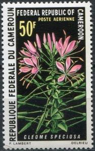 Colnect-2154-580-Cleome-speciosa.jpg