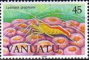 Colnect-1232-223-Scarlet-striped-Cleaning-Shrimp-Lysmata-grabhami.jpg