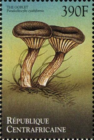 Colnect-2999-192-Pseudoclitocybe-cyathiformis.jpg