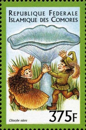 Colnect-3031-319-Clitocybe-odora.jpg